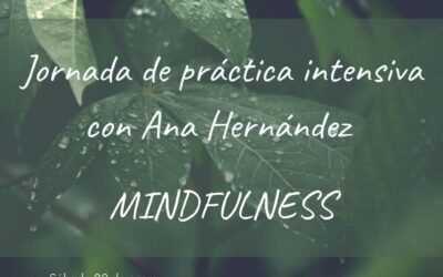 Nueva fecha para Retiro Mindfulness de una jornada!!!